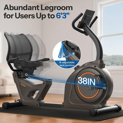 Recumbent Bike for Home Fitness